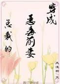 穿成霸总的恶毒前妻风浅析