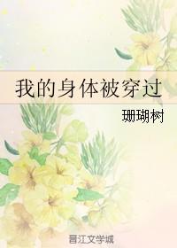 我的身体被穿过晋江