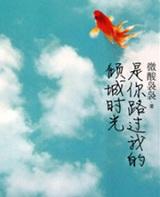 是你路过我的倾城时光歌词