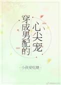 穿成男配的心尖宠 作者