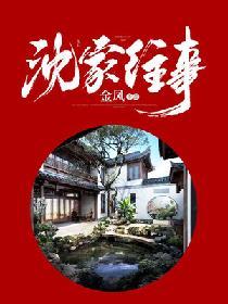 沈家小姐全文免费阅读
