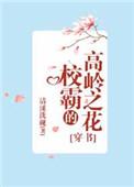 校霸的高岭之花全文