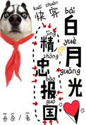 白月光精忠报国(快穿)by吞鱼