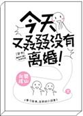 今天又叕叒没有离婚txt