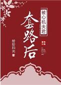 被心机夫君套路后TXT