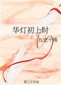 华灯初上的意思解释