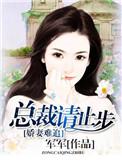娇妻来袭总裁追妻路漫漫
