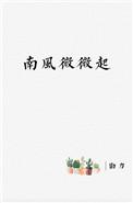 南风微微起简介