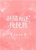 狭陆相逢挽挽胜全文无防盗