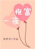 一夜抱富网站
