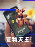 宠物天王一共有几只精灵