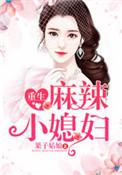重生麻辣妻免费阅读