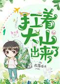扛着大山出来了txt宝书网
