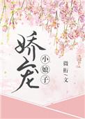 娇宠小娘子全文