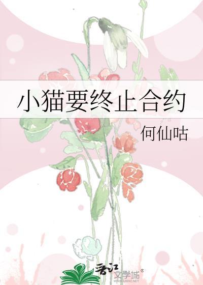 小猫要终止合约免费阅读