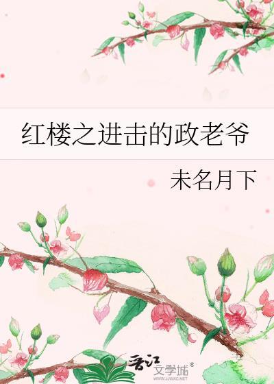 红楼政老爷