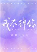 戒不掉你像戒不掉呼吸是什么歌