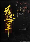 为妃三十年她与灯百度
