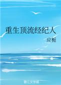 重生娱乐圈经纪人的
