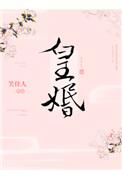 皇婚笑佳人讲的什么