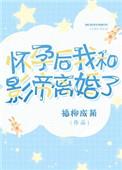 怀孕后我和影帝离婚了宝书网