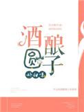 酒酿圆子是什么味道