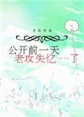 公开前一天老攻失忆了简介