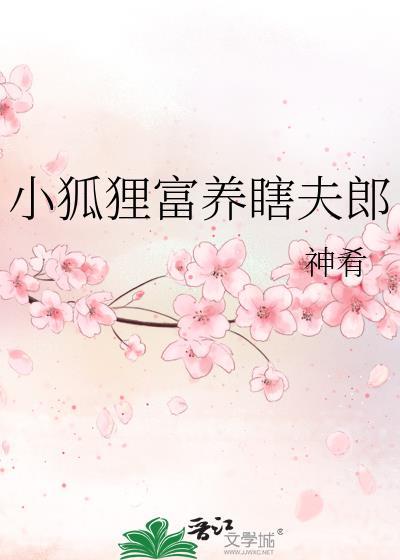 狐狸小宠