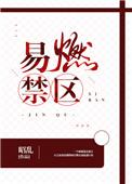 易燃禁区有多少字