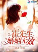 阅读网霍先生结婚吧