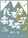 我老婆家里有矿 作者菊子