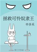 拯救可怜奴隶主王