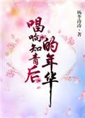 知青老歌曲视频