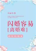 闪婚容易离婚难 四殿下