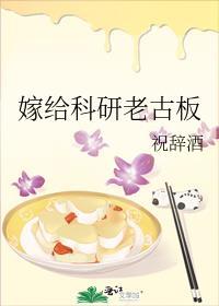 嫁给科研老古板祝辞酒
