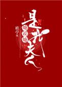 她说她是我夫人锦觅