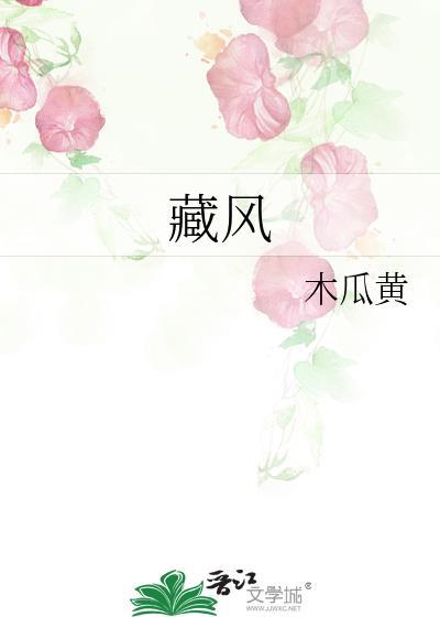 聚气藏风