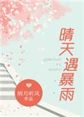 晴天遇暴雨作者