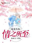 陆先生的情之所至好看吗