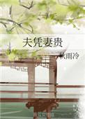 夫凭妻贵作者秋雨冷