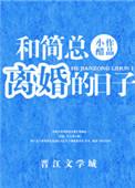 和简总离婚的日子无删减