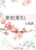 妻宠txt