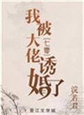 我被大佬宠哭了全文