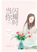 当你闪耀时宝书网