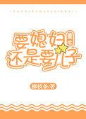 要媳妇还是要儿子重生 阅读 全文