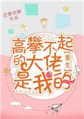 高攀不起的大佬是我的 免费阅读