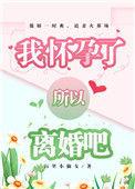 怀孕后我们离婚了