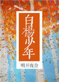 白杨少年在线阅读
