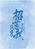你就不应该招惹我