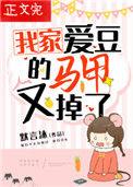 我家爱豆的马甲又掉了主角